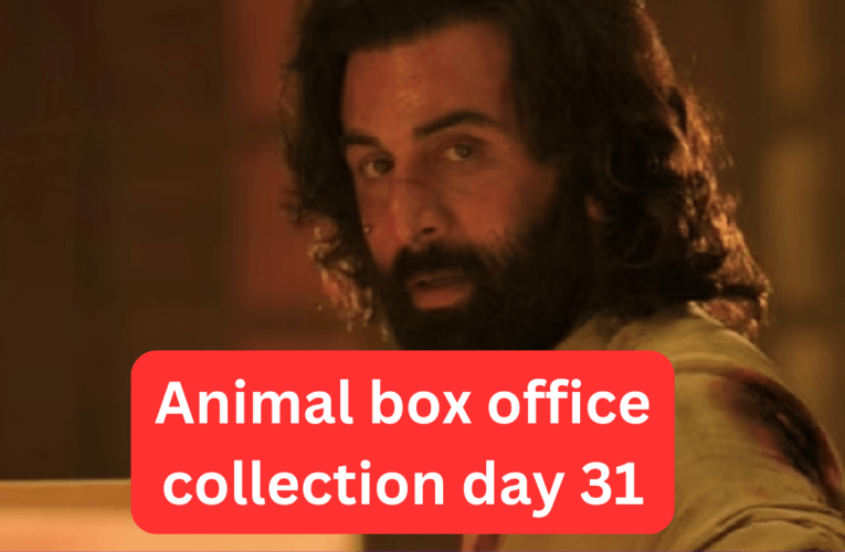 Animal box office collection day 31 worldwide collection