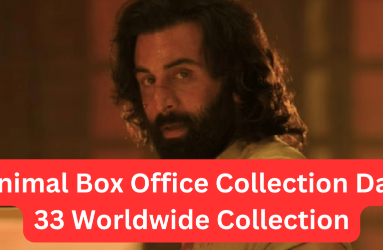 Animal Box Office Collection Day 33 Worldwide Collection