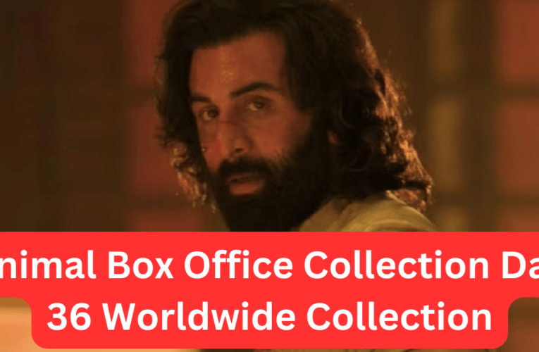 Animal Box Office Collection Day 36 Worldwide Collection