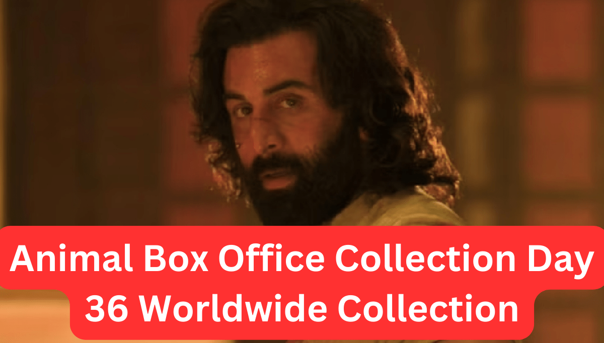 Animal Box Office Collection Day 36 Worldwide Collection