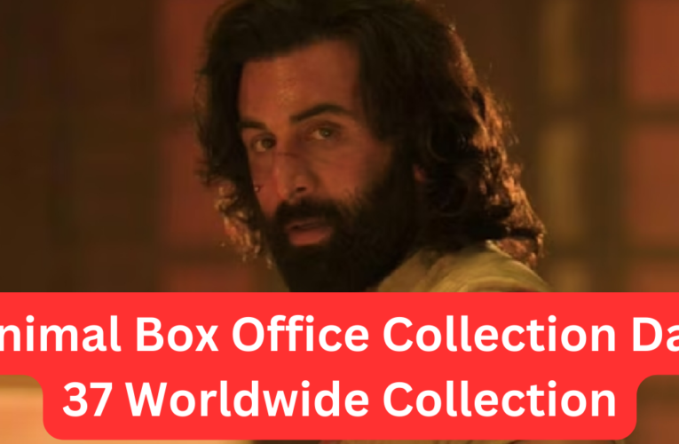 Animal Box Office Collection Day 37 Worldwide Collection