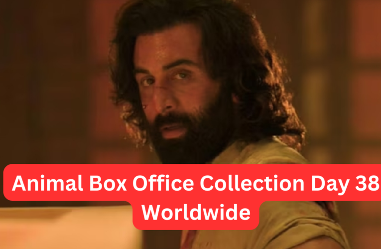 Animal Box Office Collection Day 38 Worldwide Collection Till Now