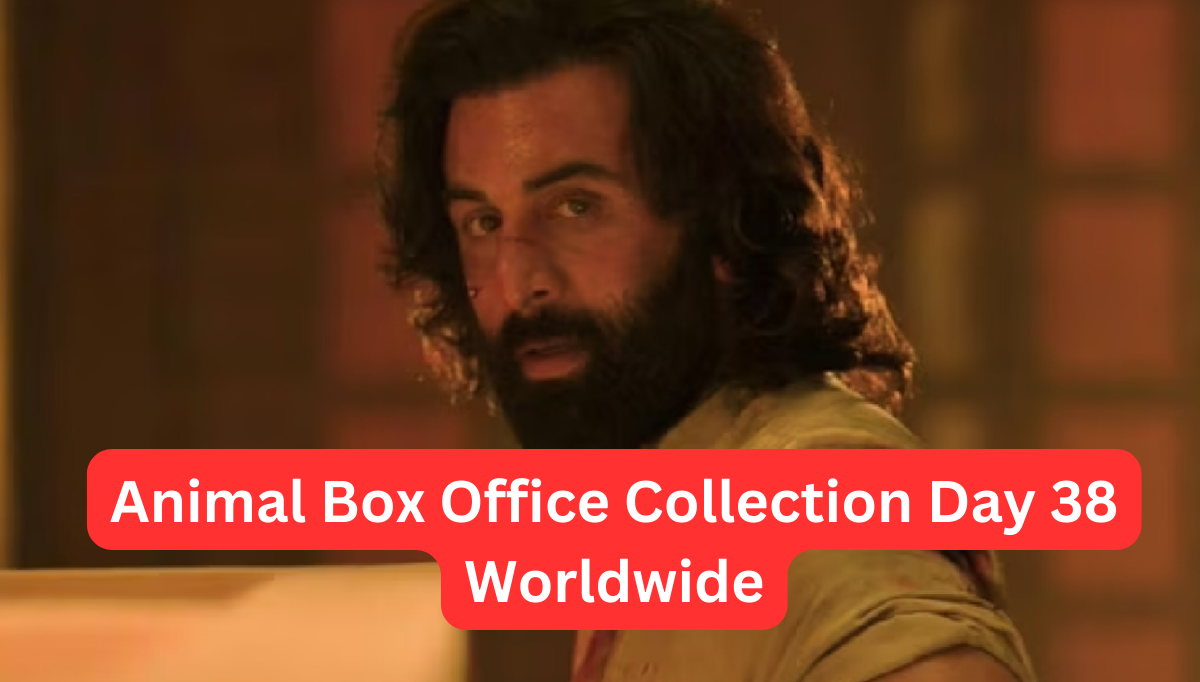 Animal box office collection day 38 worldwide collection till now