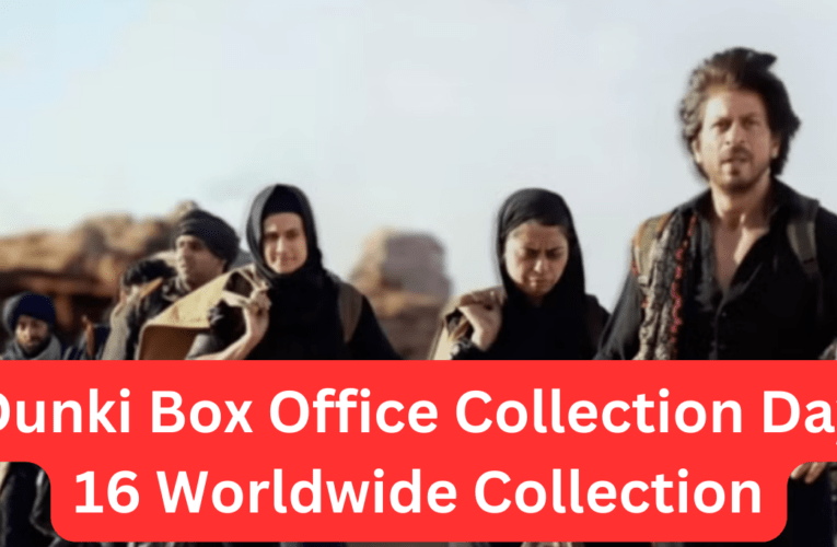 Dunki Box Office Collection Day 16 Worldwide Collection