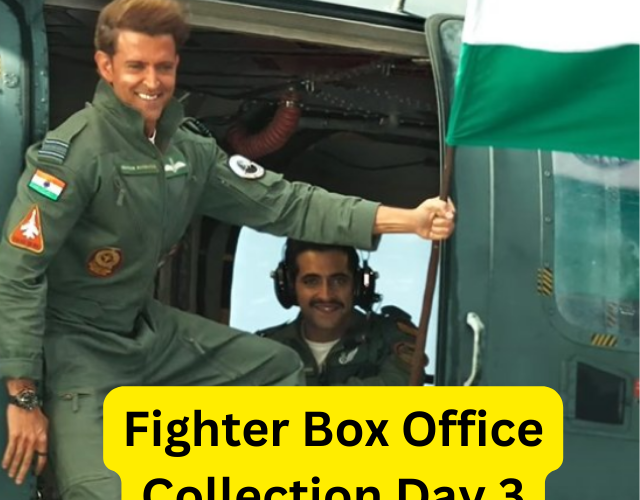 Fighter Box Office Collection Day 3