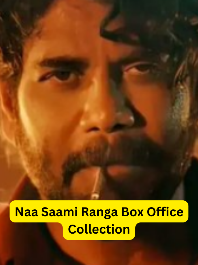 Naa Saami Ranga Box Office Collection Day 17