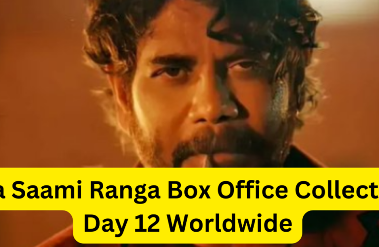 Naa Saami Ranga Box Office Collection Day 12 Worldwide