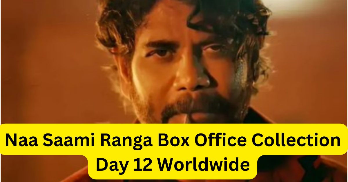 Naa Saami Ranga Box Office Collection Day 12 Worldwide