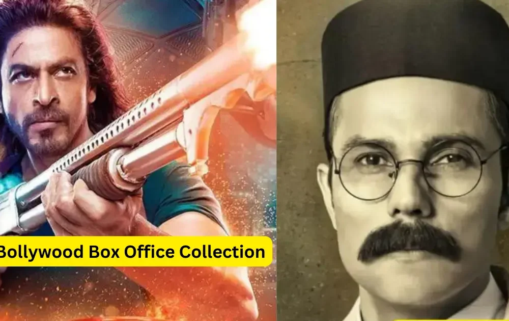 2024 Bollywood Box Office Collection