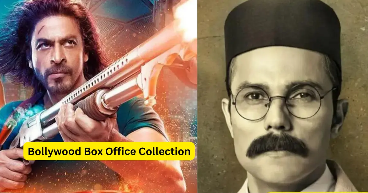 2024 Bollywood Box Office Collection